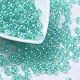 Eco-Friendly Transparent Acrylic Beads PL733-9-1