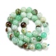 Natural Chrysoprase Beads Strands G-P503-10MM-03-3