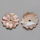 Perles naturelles de coquillage rose SSHEL-R044-01-2