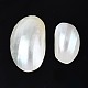 Natural Conch Shell Cabochons SSHEL-N034-91-3