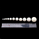 Perles de coquille d'imitation en plastique écologique MACR-S292-20mm-01-3
