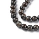 Natural Labradorite Beads Strands G-G0003-C03-10mm-4