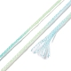 10 Skeins 6-Ply Polyester Embroidery Floss OCOR-K006-A26-3