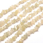 Blancos chips piedra lunar hebras de perlas naturales, 5~8x5~8mm, agujero: 1 mm, alrededor de 31.5 pulgada
