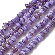 Бусины из натуральных пресноводных ракушек SHEL-B003-01L