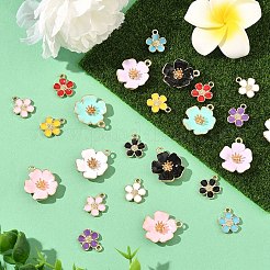 24pcs 12 pendentifs en alliage de couleurs&nbsp;FIND-YW0012-10-NR