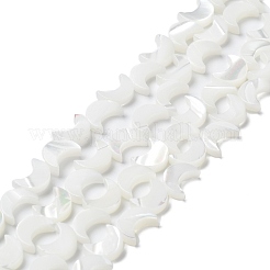 Natürliche Trochusmuschelperlenstränge&nbsp;BSHE-P033-08