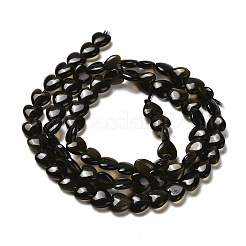 Natürliche goldenen Glanz Obsidian Perlen Stränge&nbsp;G-P575-C04-6mm
