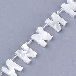 Perles en coquille de mer&nbsp;X-SHEL-T012-60N