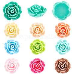 60 Stück 10 Farben undurchsichtige Harz-Cabochons&nbsp;CRES-CP0001-06