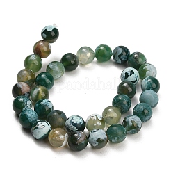 Brins de perles d'agate craquelée au feu naturel (teintes et chauffées)&nbsp;G-K425-A08-12mm