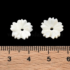 Cuentas talladas de concha de trochus natural&nbsp;SH-CBACA76-02
