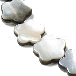 Naturali labbro nero perline shell fili&nbsp;SHEL-M021-02B