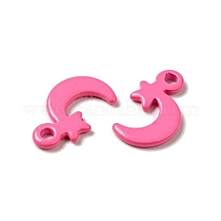 Breloques en acier inoxydable 201 peintes au pistolet&nbsp;STAS-G304-20C