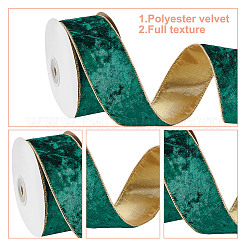 Drahtband aus Polyestersamt&nbsp;SRIB-WH0072-04B