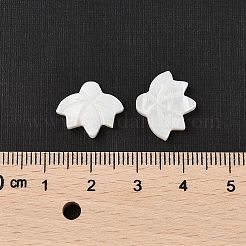 Natürlichen Süßwasser-Muschelperlen&nbsp;SHER-R100-05A