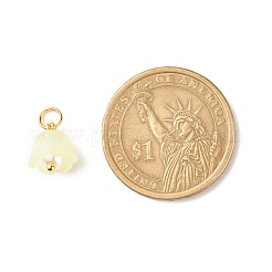 Charms acrilico trasparente&nbsp;PALLOY-JF01604-01