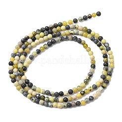 Brins de perles turquoise jaune naturel (jaspe)&nbsp;G-Z116-A19-2mm