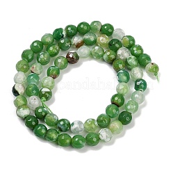 Naturelles feu crépitent agate perles brins&nbsp;G-C082-A01-51