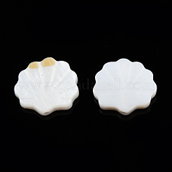 Cuentas de concha naturales de agua dulce&nbsp;X-SHEL-T007-02