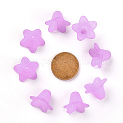 Perles en acrylique transparente&nbsp;PLF018-04