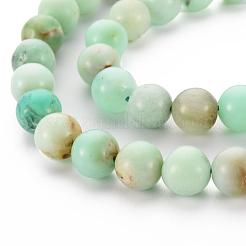 Brins naturels de perles de chrysoprase&nbsp;G-S333-10mm-037