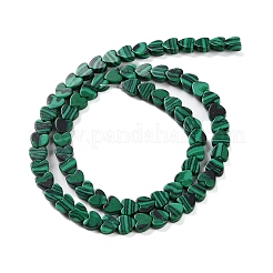 Synthetik Malachit Perlen Stränge&nbsp;G-M403-A02-02
