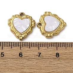 Pendentifs en résine en acier inoxydable 304&nbsp;STAS-P406-15F-G