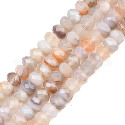 Natur Botswana Achat Perlen Stränge&nbsp;G-C259-A21-5x8mm