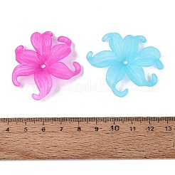 Perles en plastique transparentes givrées&nbsp;KY-N025-62