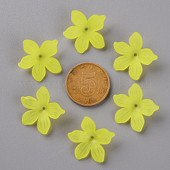 Coupelles en acrylique mat&nbsp;MACR-S371-05A-717
