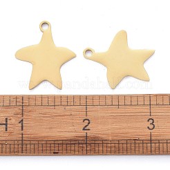 Pendentifs en acier inoxydable 304&nbsp;LS-STAS-I140-13G