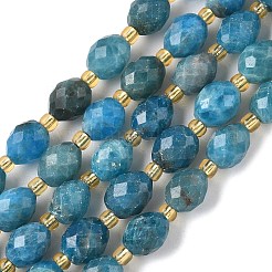 Natürliche Apatit Perlen Stränge&nbsp;G-F809-A34-01