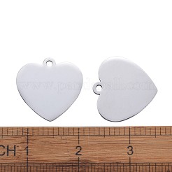 Pendentifs en acier inoxydable 304 résistant au ternissement&nbsp;STAS-I140-10B-S