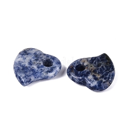 Pendentifs en jaspe tache bleue naturelle&nbsp;G-G602-06H