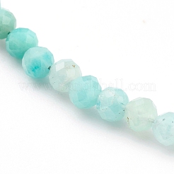 Natürlichen Edelstein Perlenketten&nbsp;NJEW-JN03315