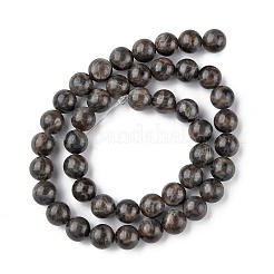 Natur Labradorit Perlen Stränge&nbsp;G-G0003-C03-10mm