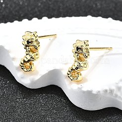 Aretes de latón&nbsp;EJEW-H157-01G-01