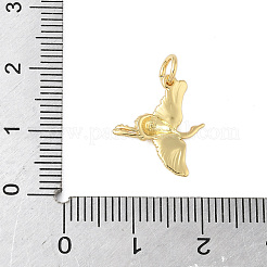 Messing Anhänger & Charms&nbsp;KK-L245-09G