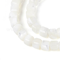 Natürliche Trochidschale / Trochusschalenperlenstränge&nbsp;SSHEL-N041-04A-01