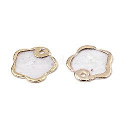 Natürliche Capiz Shell Charms&nbsp;SSHEL-N034-128