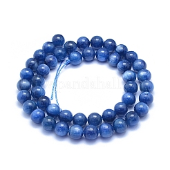 Natürliche kyanit / cyanit / disthen perlen stränge&nbsp;G-L552H-14B