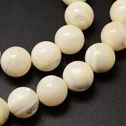 Chapelets de perles en coquillage naturel&nbsp;SSHEL-K013-12mm-A