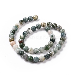 Chapelets de perles en agate d'arbre naturelle&nbsp;G-K194-10mm-02