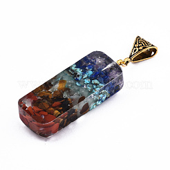 Pendentifs en résine époxy transparente&nbsp;RESI-T049-19