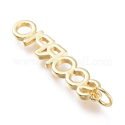 Messing Anhänger & Charms&nbsp;ZIRC-I048-15G-06