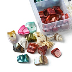 198g 11 Arten natürliche gemischte Muschelperlen-Sets&nbsp;BSHE-FS0001-05