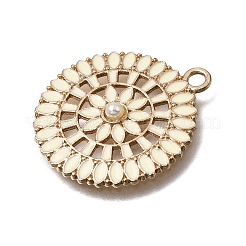 Pendentifs d'émail en alliage&nbsp;FIND-C097-04G