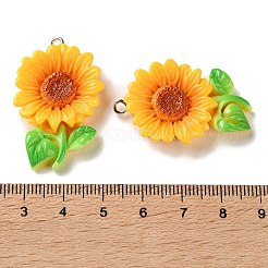 Pendentifs en résine opaque&nbsp;RESI-K050-01A