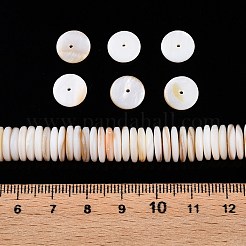 Natürlichen Süßwasser-Muschelperlen Stränge&nbsp;X-SSHEL-T017-02